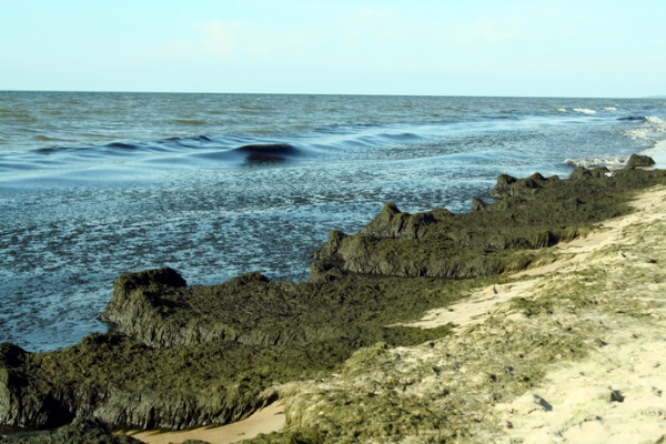 Zdjęcie z Polski - Piaski - plaża.