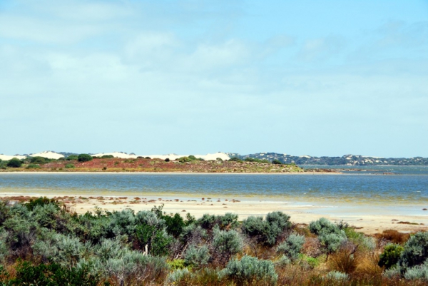 Zdjęcie z Australii - Slone jezioro Coorong...