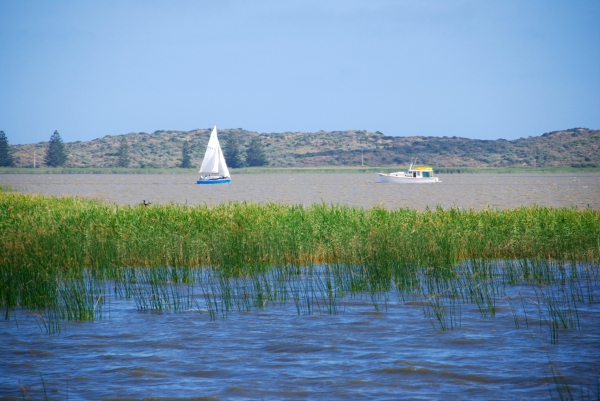 Zdjęcie z Australii - Rzeka Murray River...