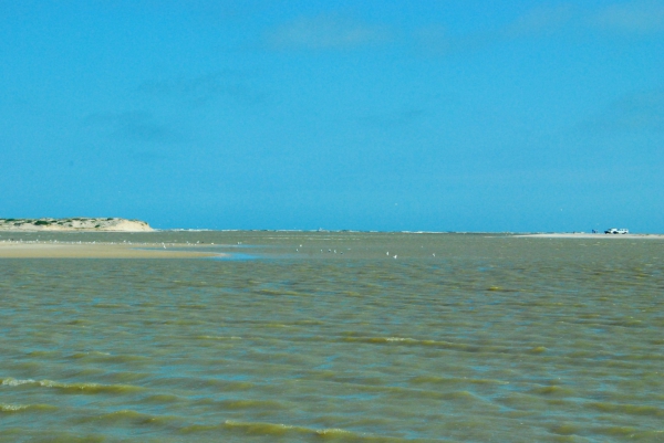 Zdjęcie z Australii - Ujscie rzeki Murray River