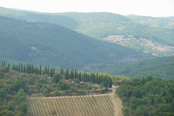 Zdjęcie z Włoch - JUST TUSCANY