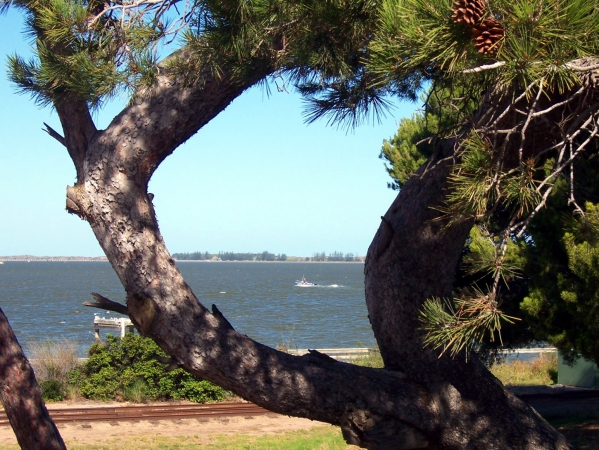 Zdjęcie z Australii - Murray River w Goolwa