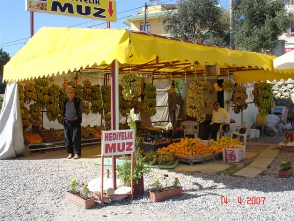 Zdjęcie z Turcji - 