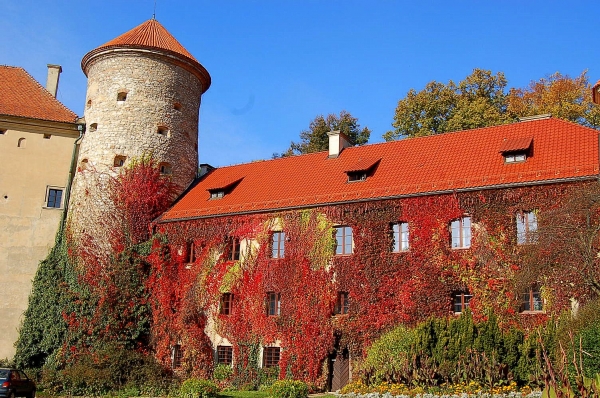 Zdjęcie z Polski - Pieskowa Skała