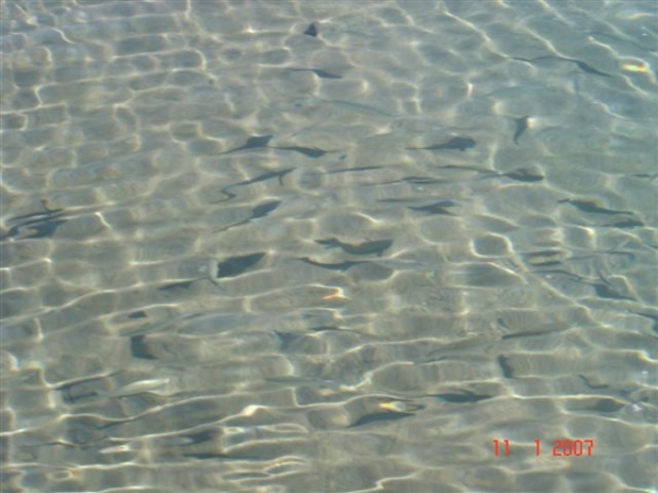 Zdjęcie z Egiptu - Hurghada