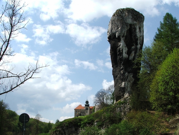 Zdjecie - Polska - Jura krakowsko- częstochowska