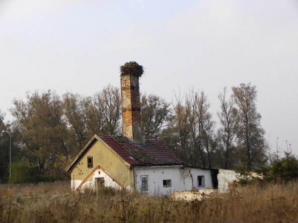 Zdjęcie z Polski - 