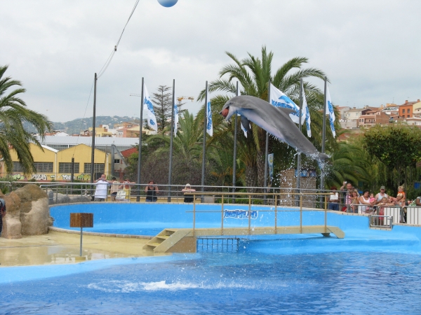 Zdjęcie z Hiszpanii - Marineland