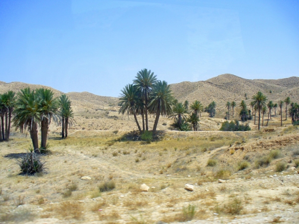 Zdjęcie z Tunezji - Sahara