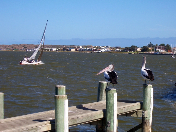 Zdjęcie z Australii - Rzeka Murray w Goolwa