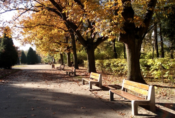 Zdjęcie z Polski - Planty - park miejski.