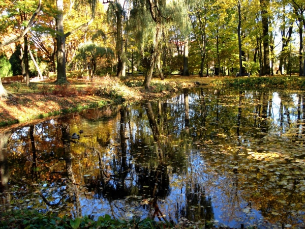 Zdjęcie z Polski - Planty - park miejski.