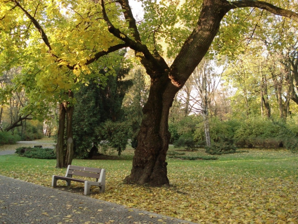 Zdjęcie z Polski - Park miejski.