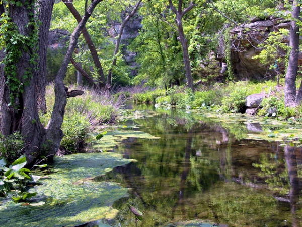 Zdjęcie ze Stanów Zjednoczonych - Colorado Bend SP