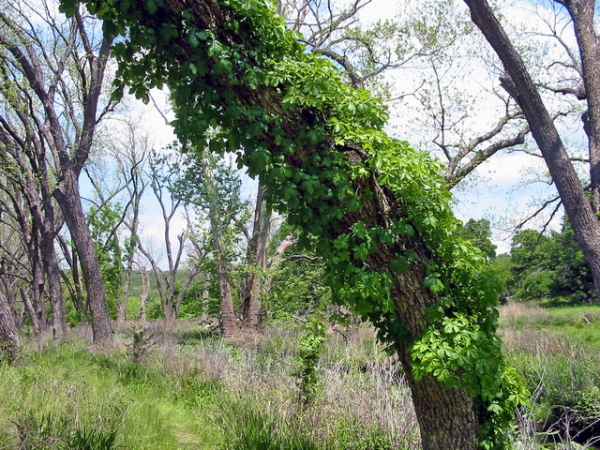 Zdjęcie ze Stanów Zjednoczonych - Colorado Bend SP