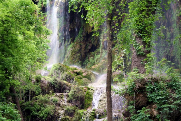 Zdjęcie ze Stanów Zjednoczonych - Gorman Falls Preserve