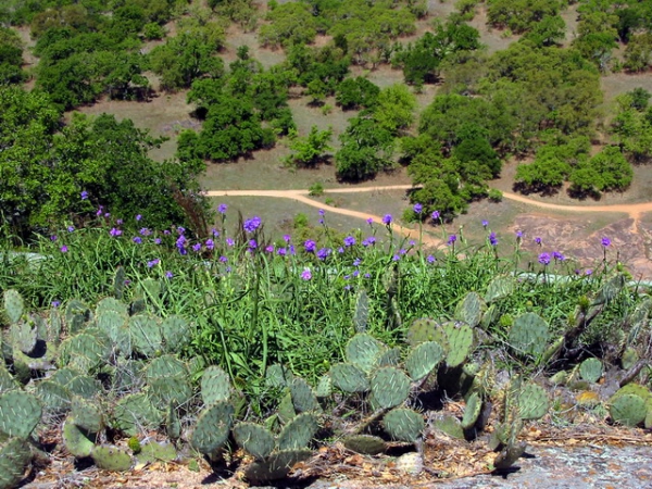Zdjęcie ze Stanów Zjednoczonych - Enchanted Rock NRA