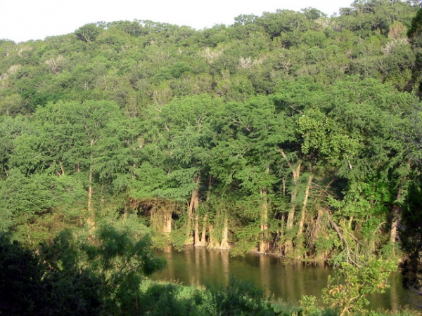 Zdjęcie ze Stanów Zjednoczonych - Pedernales Falls SP.
