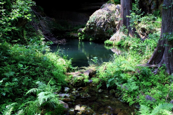 Zdjęcie ze Stanów Zjednoczonych - Westcave Preserve.