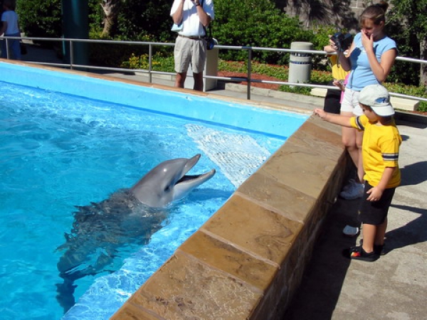 Zdjęcie ze Stanów Zjednoczonych - Seaworld...