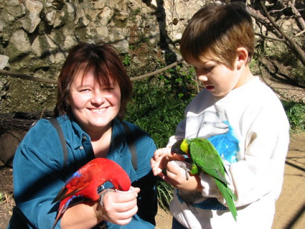 Zdjęcie ze Stanów Zjednoczonych - Seaworld parrots.