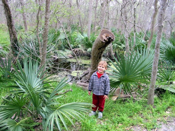 Zdjęcie ze Stanów Zjednoczonych - Palmetto SP.