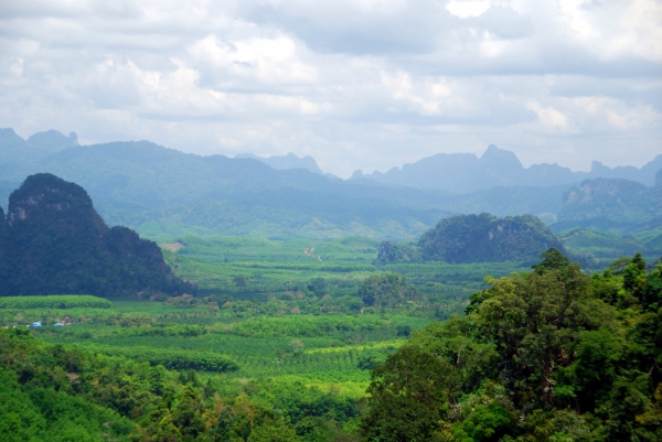 Zdjęcie z Tajlandii - Krajobraz Khao Sok