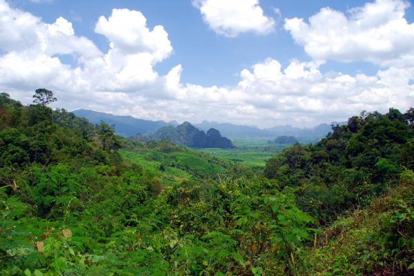 Zdjęcie z Tajlandii - Krajobraz Khao Sok