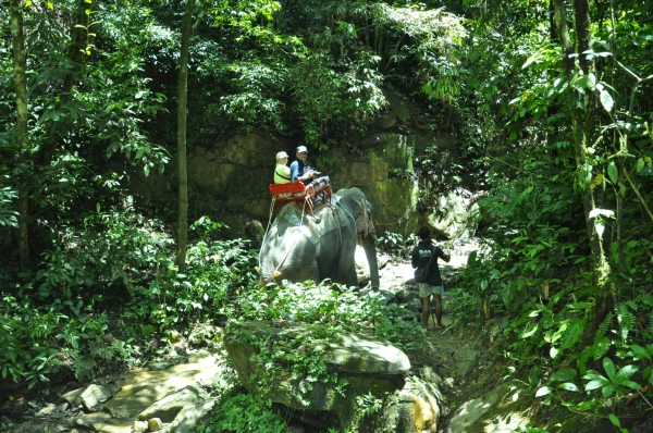 Zdjęcie z Tajlandii - Dzungla Khao Sok
