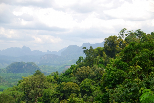 Zdjęcie z Tajlandii - Krajobraz Khao Sok