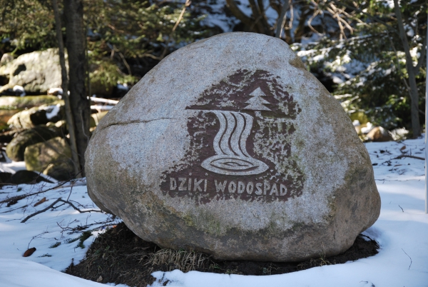 Zdjęcie z Polski - 