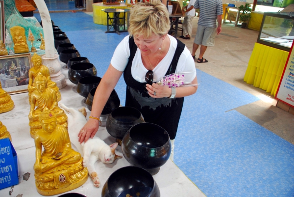 Zdjęcie z Tajlandii - Kotek spiacy na oltarzu..