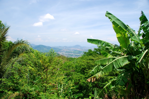 Zdjęcie z Tajlandii - Panorama Phuket...