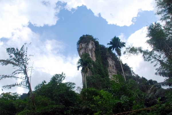 Zdjęcie z Tajlandii - Dzungla Khao Sok