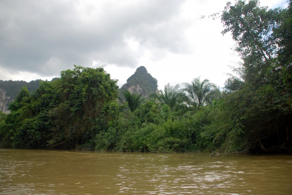 Zdjęcie z Tajlandii - Brzeg rzeki Khao Sok