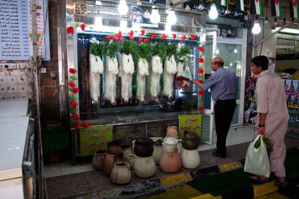 Zdjęcie z Jordanii - AQABA - Jordan 