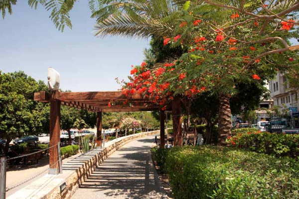 Zdjęcie z Jordanii - AQABA - Jordan 