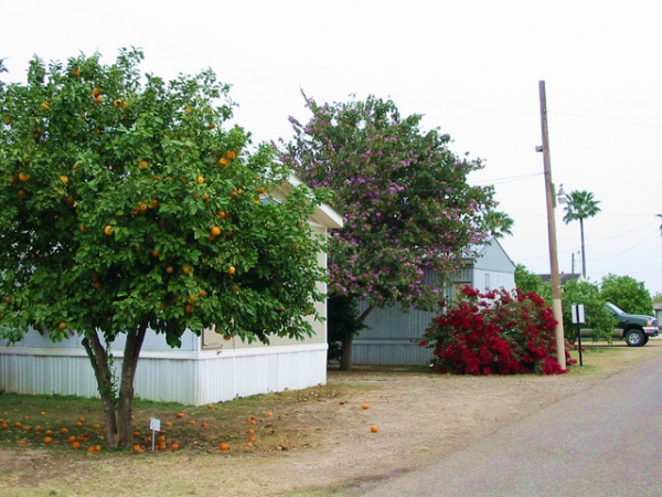 Zdjęcie ze Stanów Zjednoczonych - Brownsville, RV park.