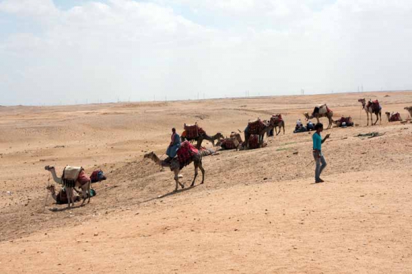 Zdjęcie z Egiptu - Kair i Giza