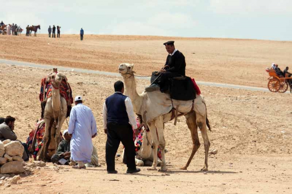 Zdjęcie z Egiptu - Kair i Giza