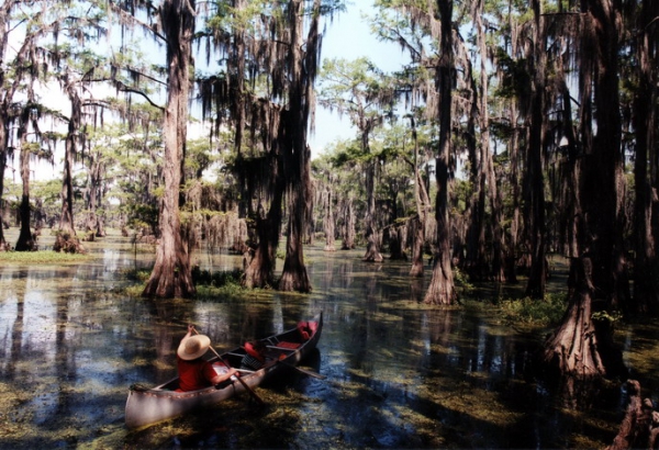Zdjęcie ze Stanów Zjednoczonych - Caddo Lake.