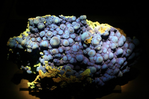 Zdjęcie ze Stanów Zjednoczonych - Houston - muzeum.