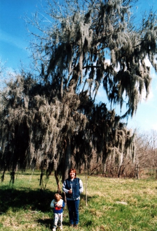 Zdjęcie ze Stanów Zjednoczonych - Brazos Bend SP.