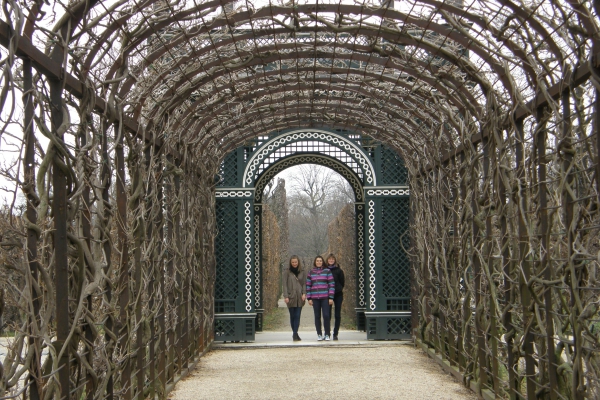 Zdjęcie z Austrii - Ogrody Schonbrunn
