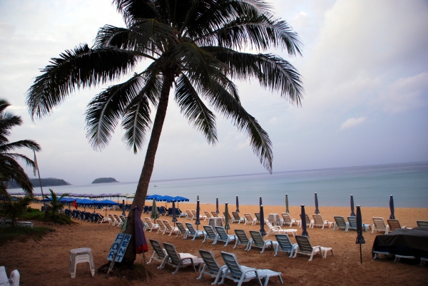 Zdjęcie z Tajlandii - Plaza Karon Beach...