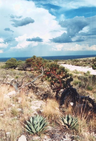 Zdjęcie ze Stanów Zjednoczonych - Guadalupe Mnts NP.