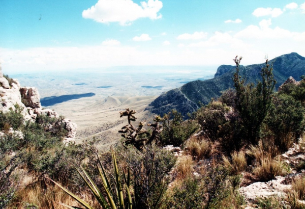 Zdjęcie ze Stanów Zjednoczonych - Guadalupe Mnts NP.