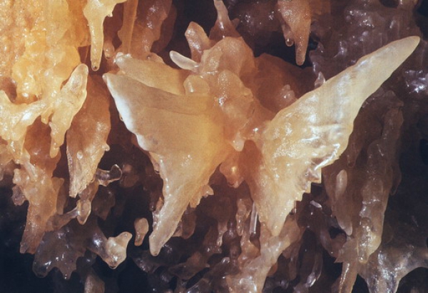 Zdjęcie ze Stanów Zjednoczonych - Caverns of Sonora.