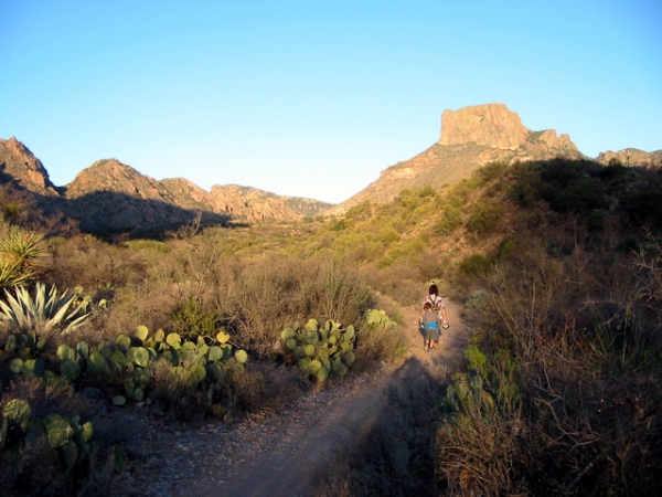 Zdjęcie ze Stanów Zjednoczonych - Big Bend NP.