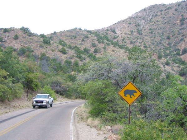 Zdjęcie ze Stanów Zjednoczonych - Big Bend NP.